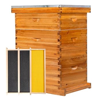 10-Frame Langstroth Bee Hive,3 Layers Beeswax Coated Beehive Kit Includes 2 Deep Brood Hive Boxes and 1 Medium Super Bee Box with Beehive Frames and Foundations
