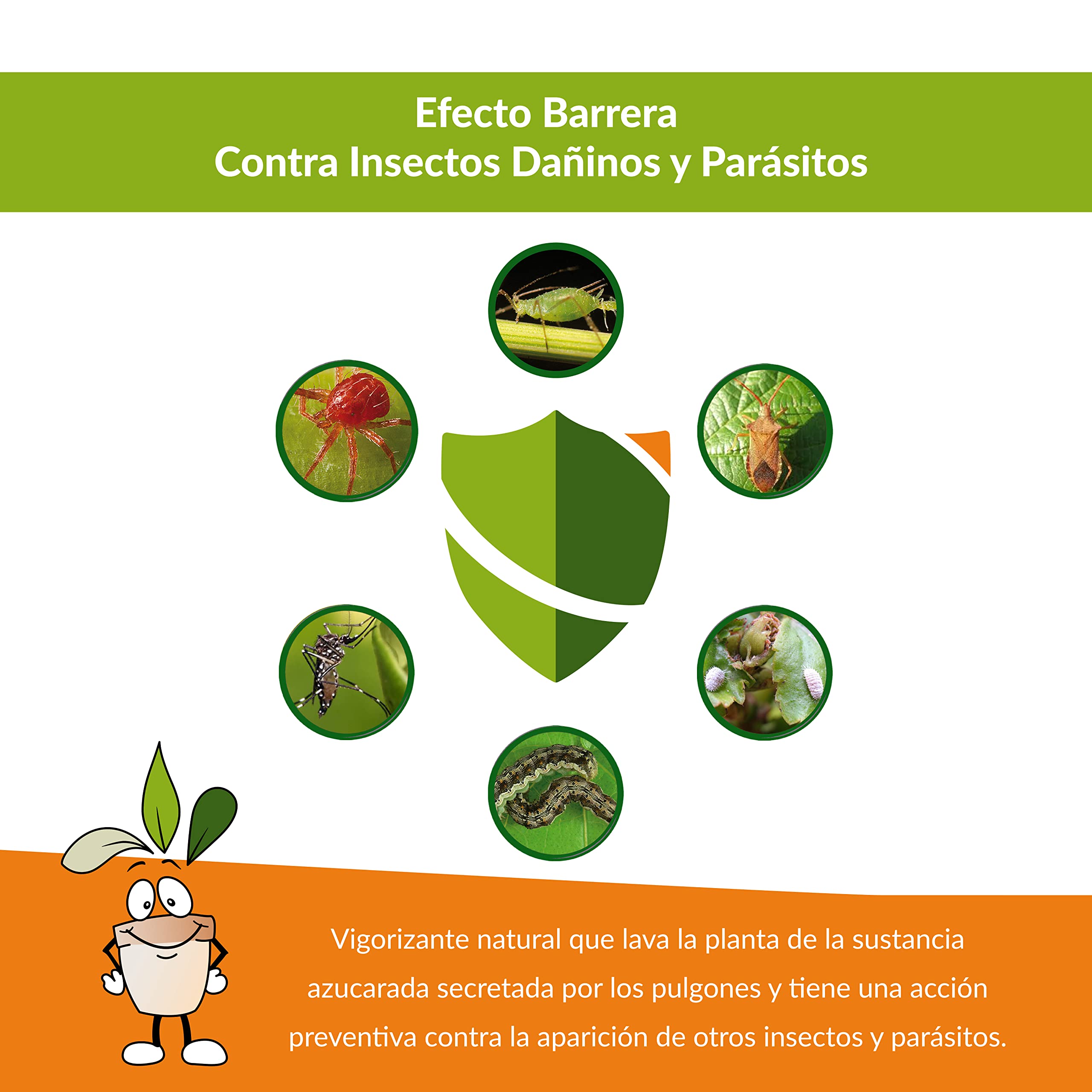 CLOSTER Jabón Potasico Puro (1 LT) - Insecticida Biodegradable - Defensa Natural de Las Plantas Contra Insectos y Parásitos - Anti Pulgones Acaros Cochinilla Chinches en Tu Huerto Jardín