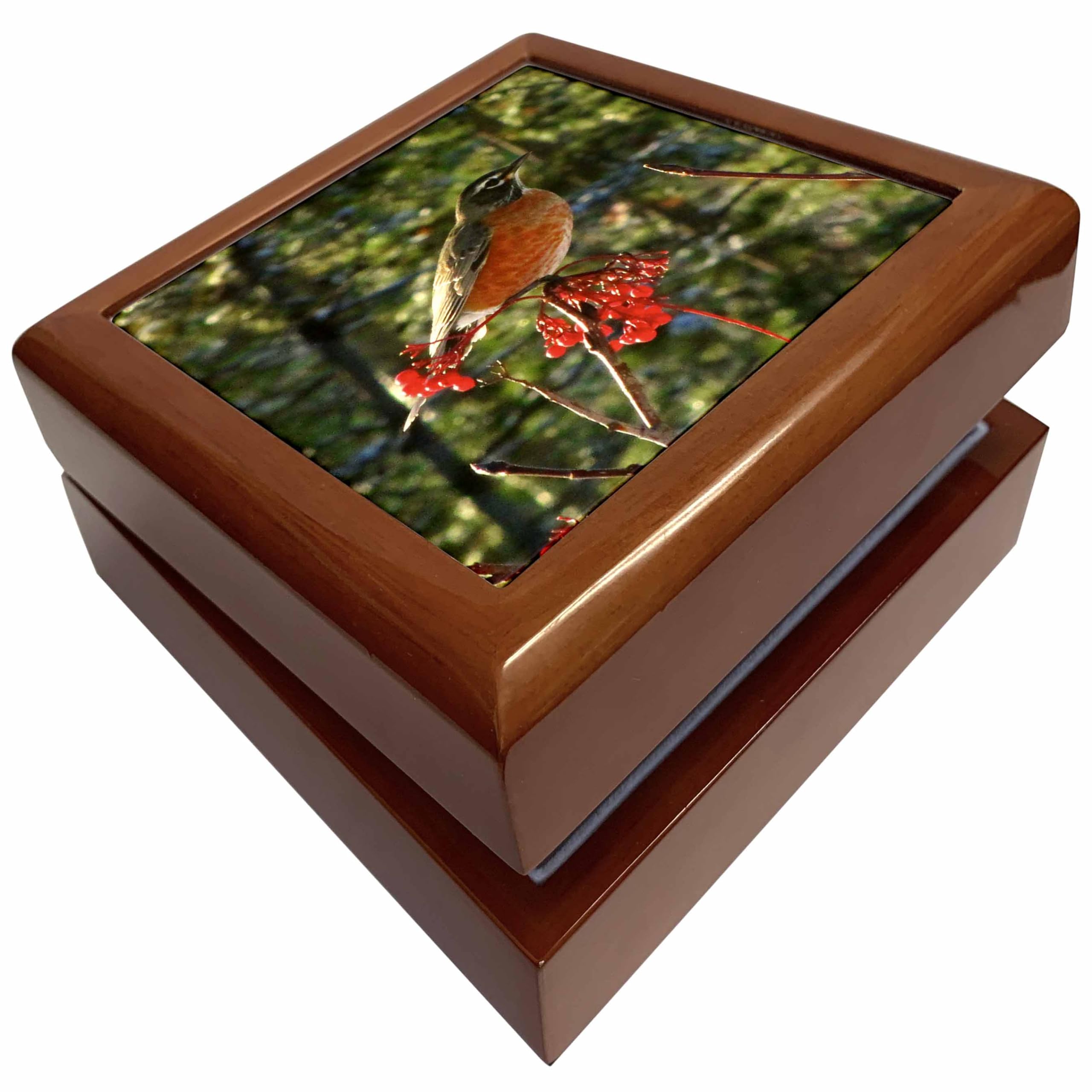 3dRose Robin in the Mountain Ash Tree 1, Jewelry Box jb-16888-1