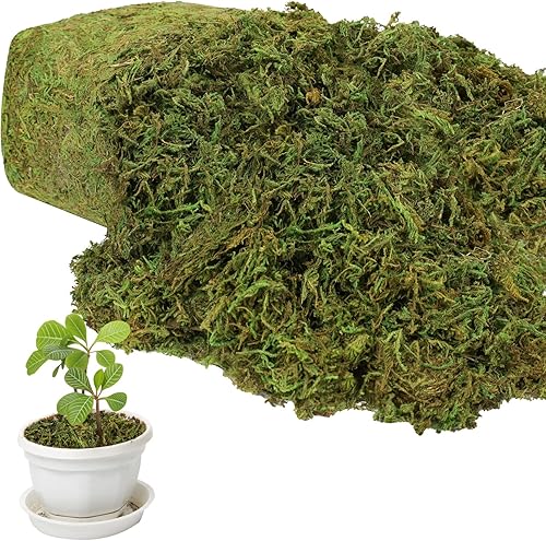 Miniatura 8 de YUNVI Musgo artificial de gran capacidad de 5 onzas para plantas en maceta, hierba de musgo artificial natural para plantas