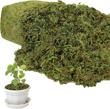 YUNVI 10.5 OZ Large Capacity Artificial Moss for Potted Plants,Natural Fake Moss Grass for Plants Indoor,Craft and Greenery Bulk for HamstersFresh Green
