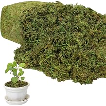 YUNVI 10.5 OZ Large Capacity Artificial Moss for Potted Plants and Crafts