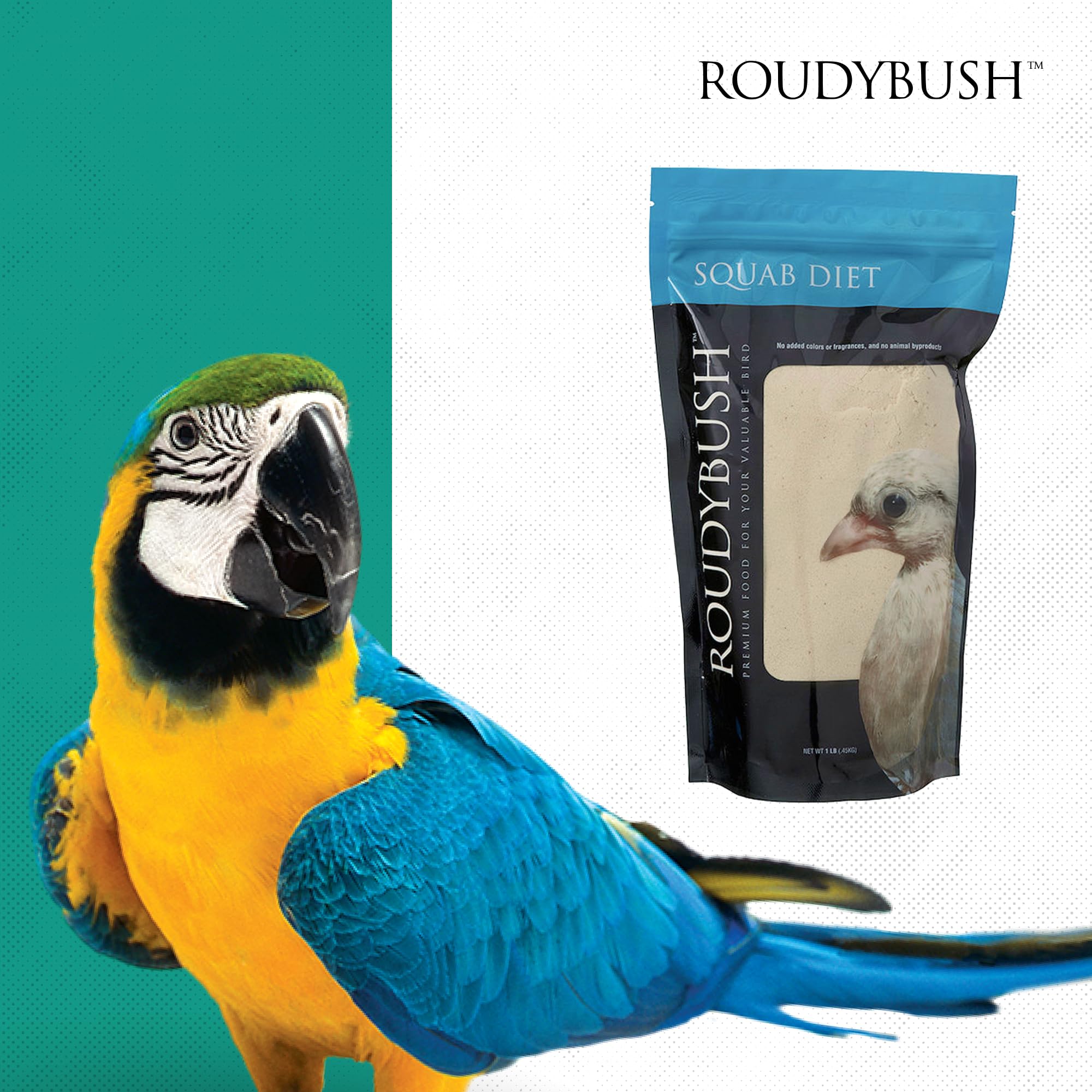 RoudyBush Squab Diet - Alimento para palomas y palomas - Alimento para pájaros bebés para Columbiformes - Mezcla de alimentos de reemplazo de leche para palomas y palomas - Enriquecimiento de pollitos