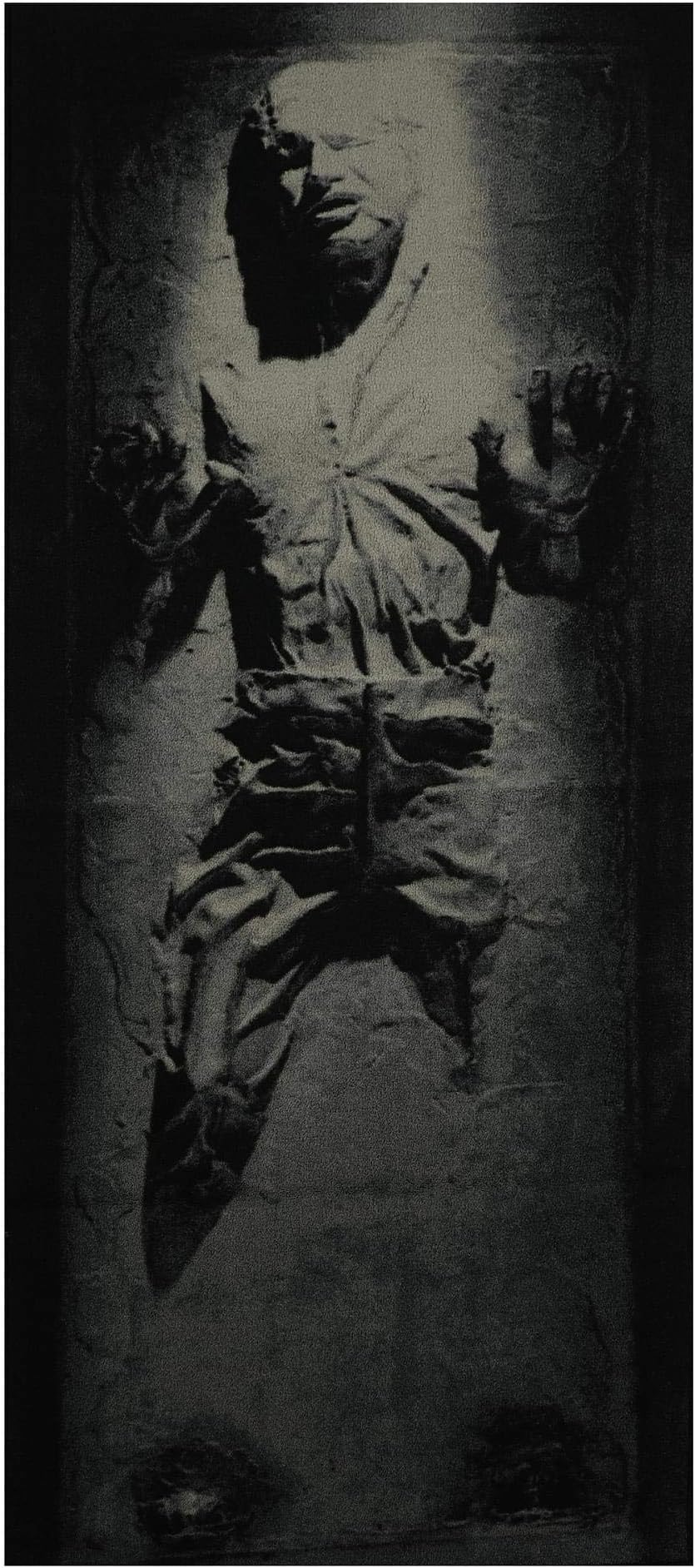 Star Wars Han Solo in Carbonite Area Rug for Living Room | 32 x 72 Inches