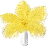 Vista 39 de THARAHT Plumas de avestruz negro, 12 unidades, grandes, naturales a granel de 20 a 22 pulgadas, 19.7 in-21.7 in, para centros de mesa de boda