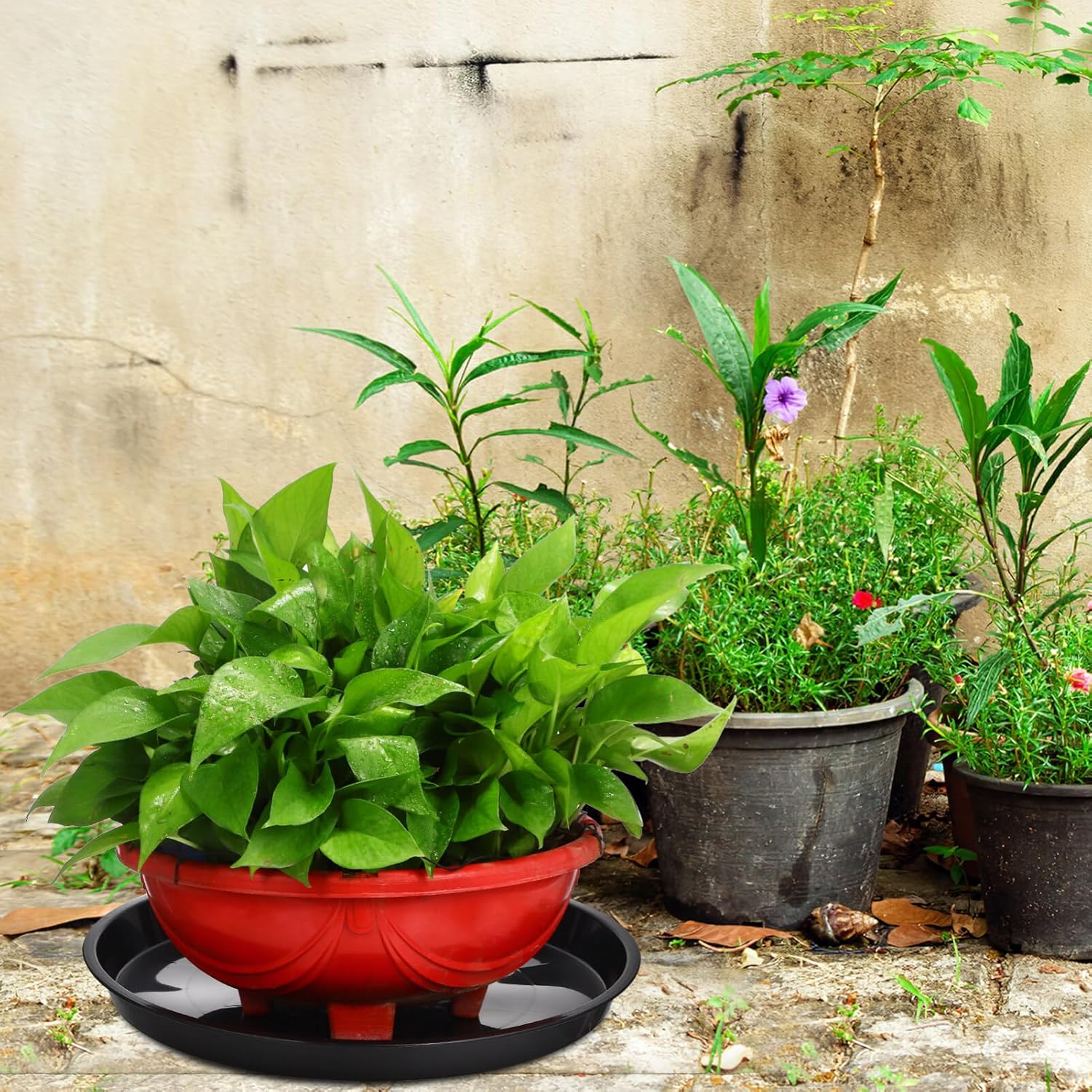 Yardwe 10pcs Plant Saucers for Flower Pots Sturdy Drip Trays for Indoor and Outdoor Use Reusable Plant Pot Bases Prevent Water Spills and Protect Floors