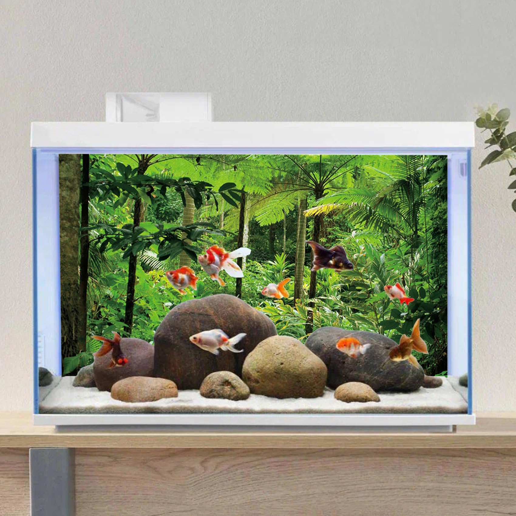 MIRRORANG 61x30cm Mistig Bos Terrarium Achtergrond Steen Groene Boom Tropische Reptielen Habitat Achtergrond Regenwoud Aquarium Achtergrond Vinyl Achtergrond MIRRORANG 61x30cm Mistig Bos Terrarium Achtergrond Steen Groene Boom Tropische Reptielen Habitat Achtergrond Regenwoud Aquarium Achtergrond Vinyl Achtergrond