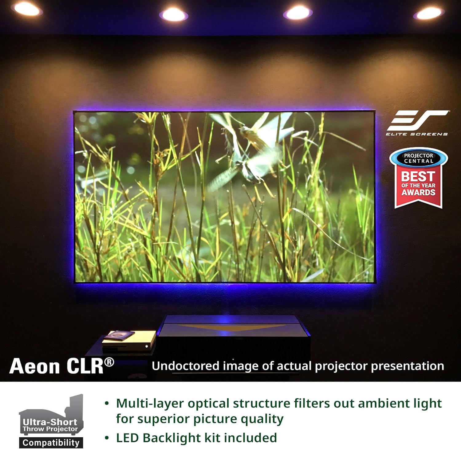 Elite Screens Aeon CLR 123" Diag. 16:9, Ambient Light Rejecting Fixed Frame Projector Screens, AR123H-CLR
