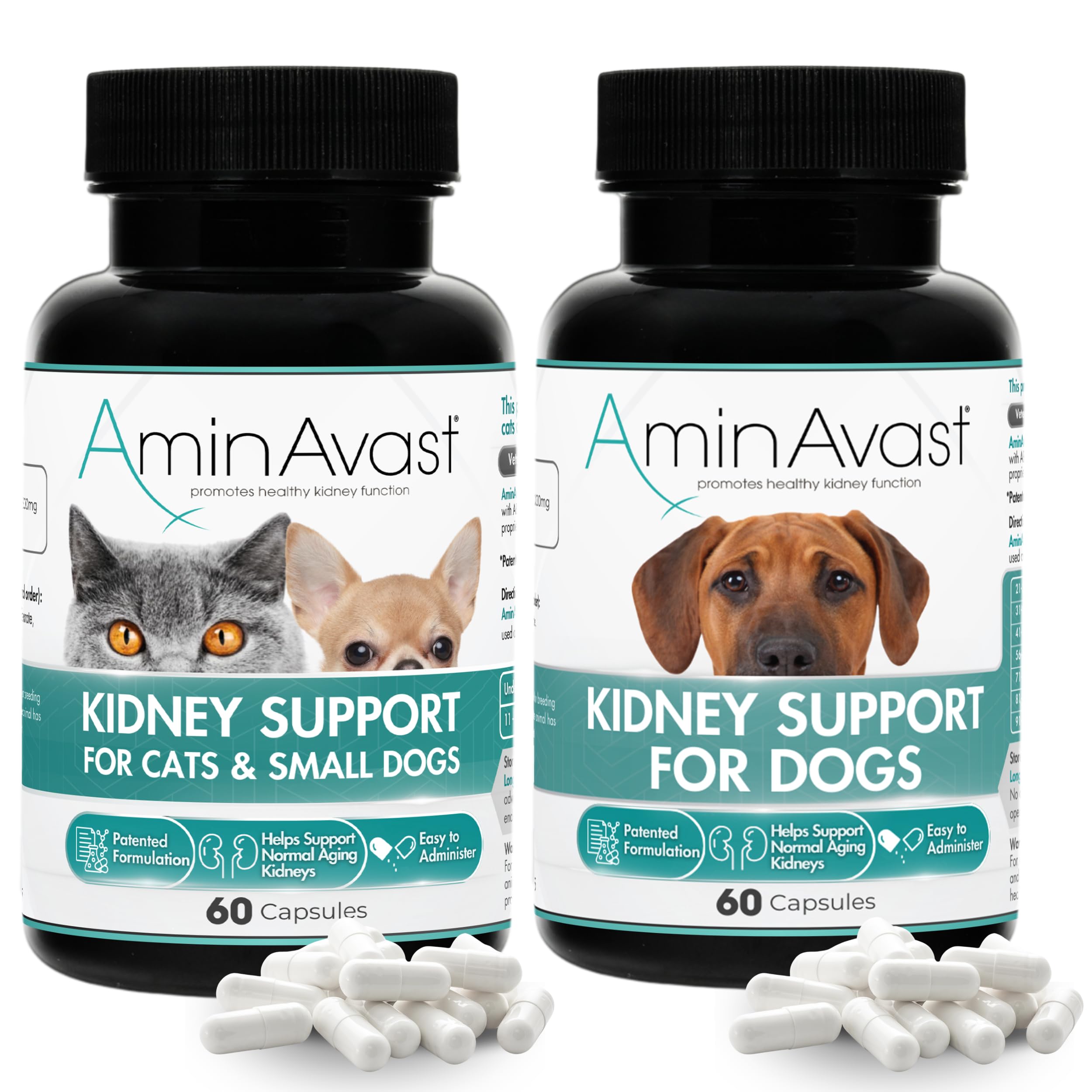 AminAvastKidney Support Supplements for Dogs and Cats - Promotes Healthy Kidney Function and Vitality - Available in 300mg and 1000mg Capsules