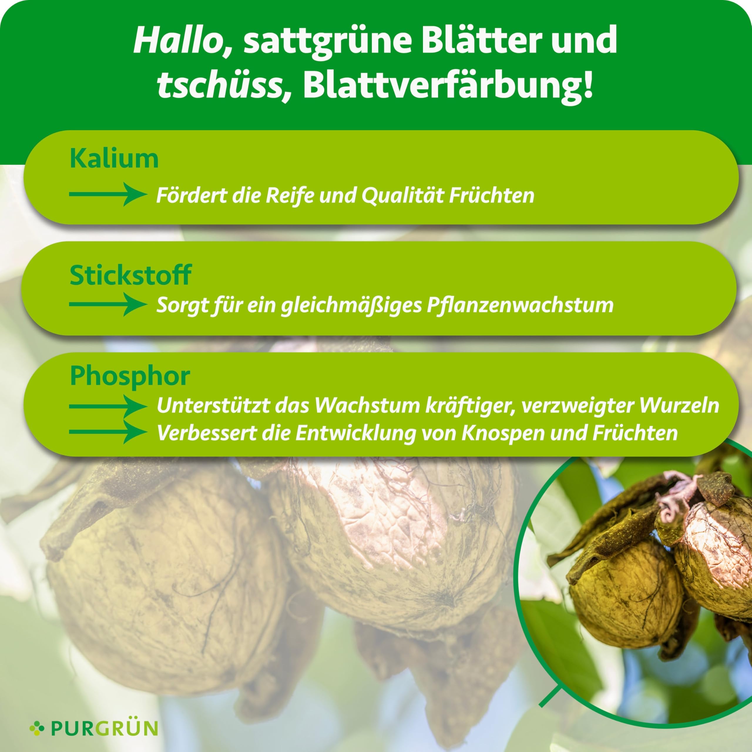 Bio-Walnussbaum-Dünger 1 kg – Organisch-mineralische Rezeptur – Feinkörniges Krümelgranulat – NPK 6+2+7 – Mit Magnesium für aromatische Nüsse – Verbessert die Bodenqualität
