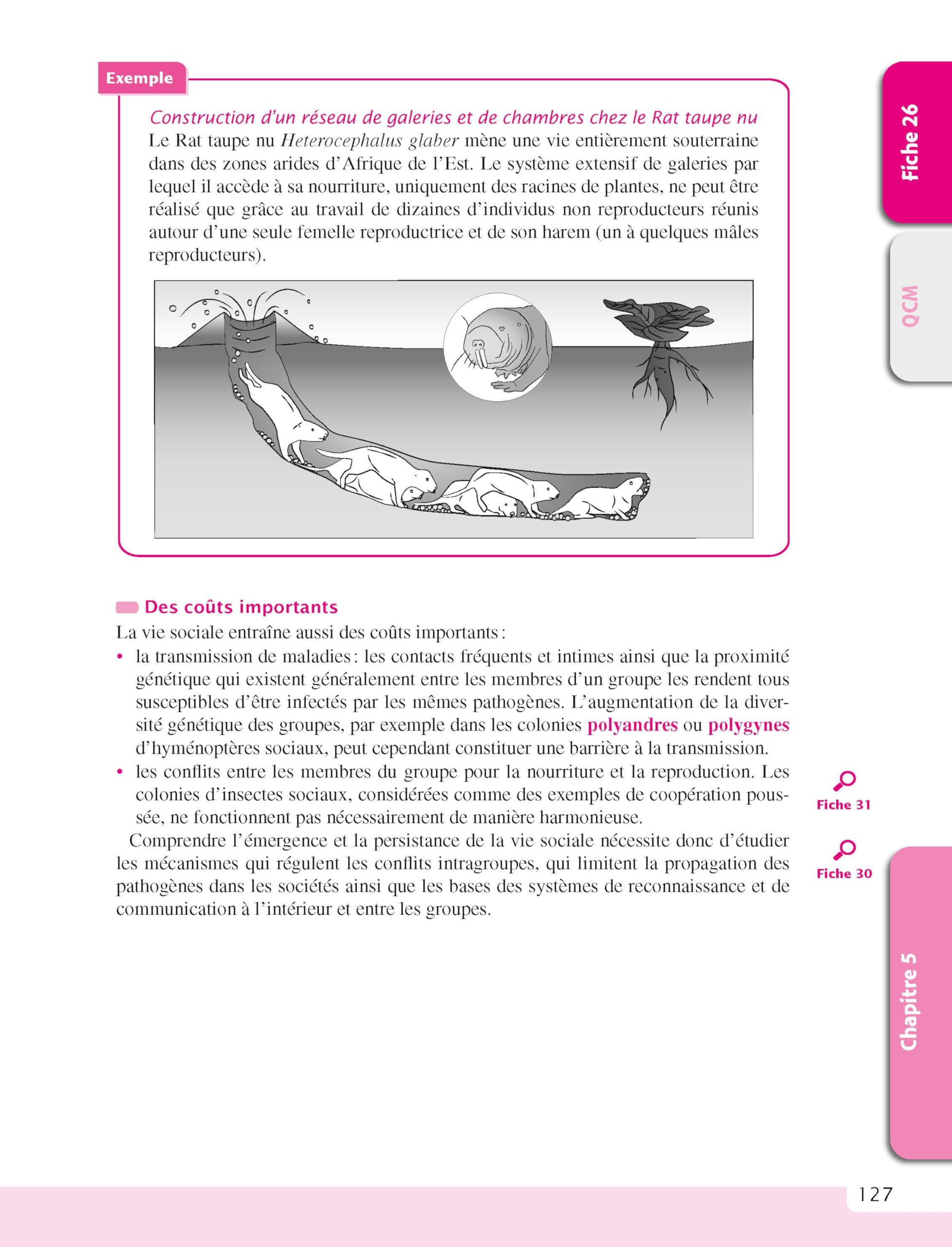 Le cours d'écologie - 2e éd.: Fiches de cours, questions de révision et bonus web