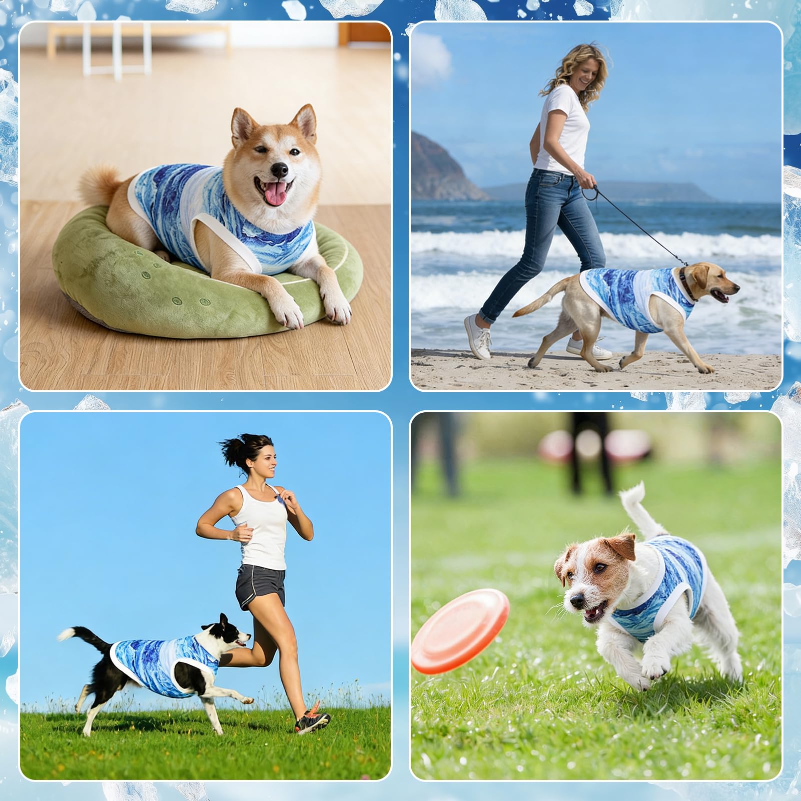 Gilet Rafraîchissant pour Chien, Respirant Manteau Rafraichissant Chien, Doux et Confortable Gilet de Refroidissement pour Chiens de Petite et Moyenne Taille (Bleu-M)
