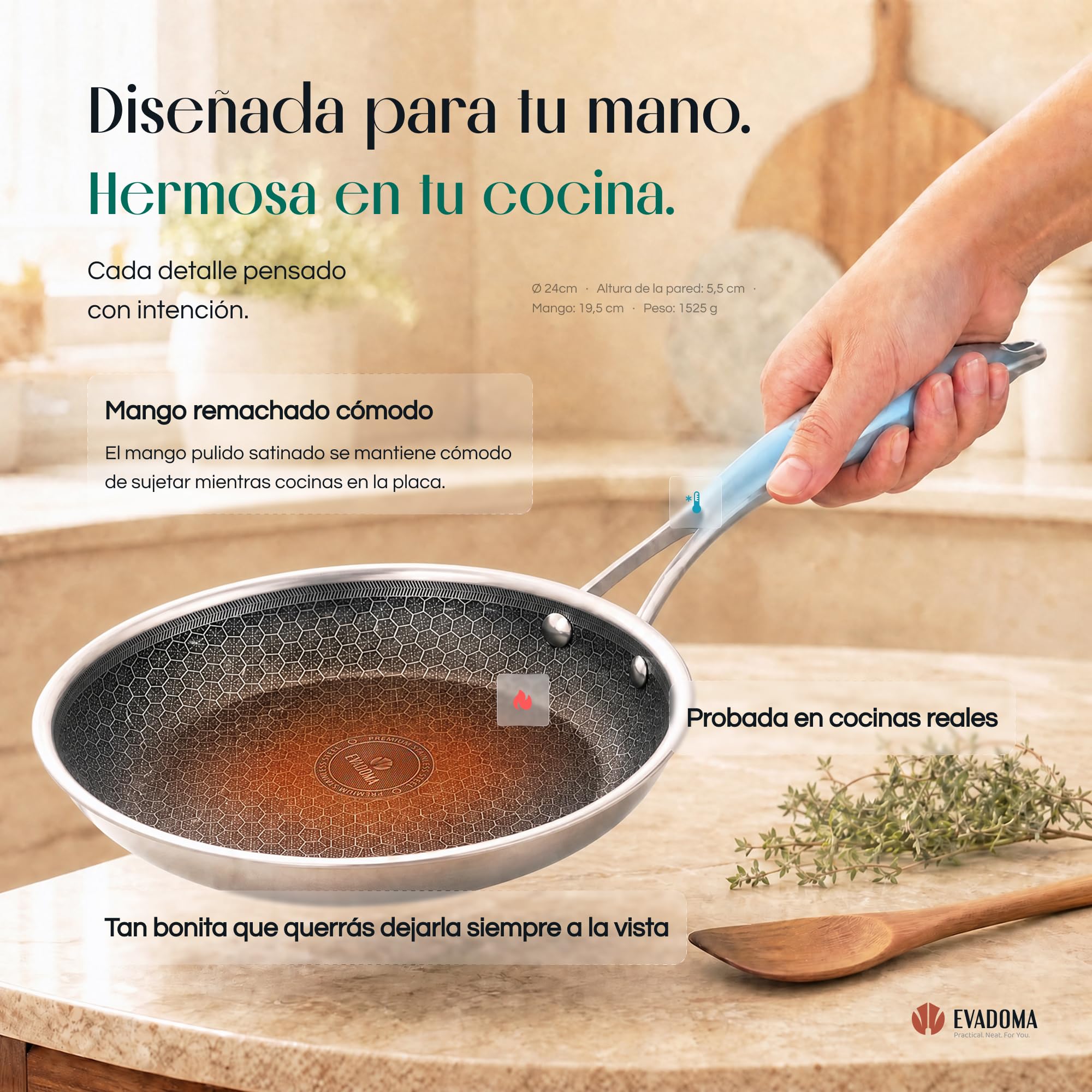 Sartén Antiadherente 24 cm con Tapa de Cristal | para Tortilla de Patatas, Huevos y Crepes | Apta para Todas las Cocinas y Horno | Acero Inoxidable Panal de Abeja | Sin PFOA