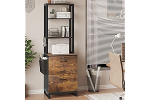 Itaar 2 Drawer File Cabinet with Lock: Perfect for Home Office Organization