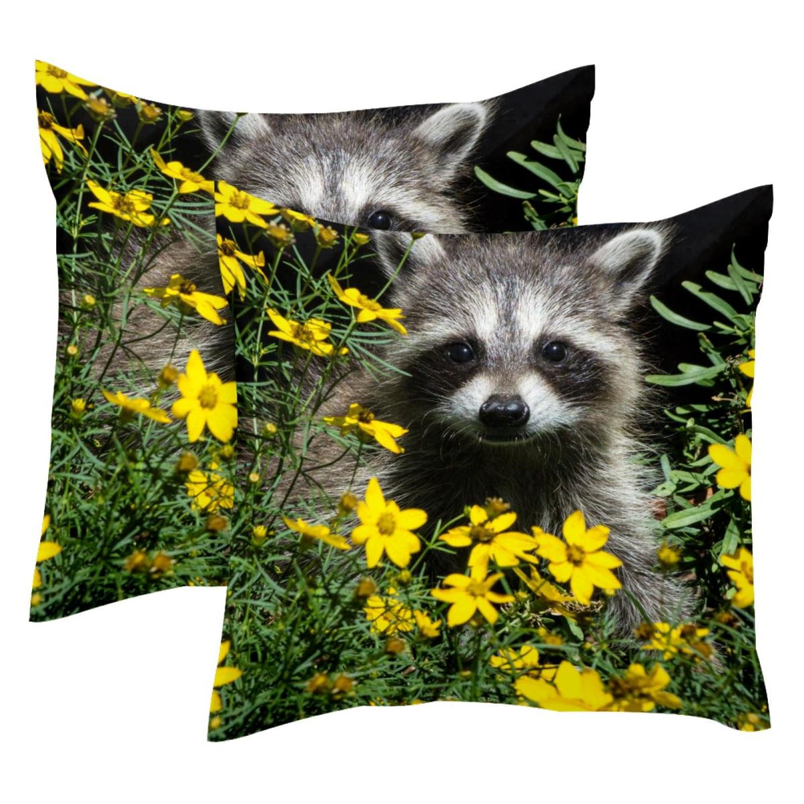 Housses de coussin velours 50x50 motif raton laveur finitions invisibles