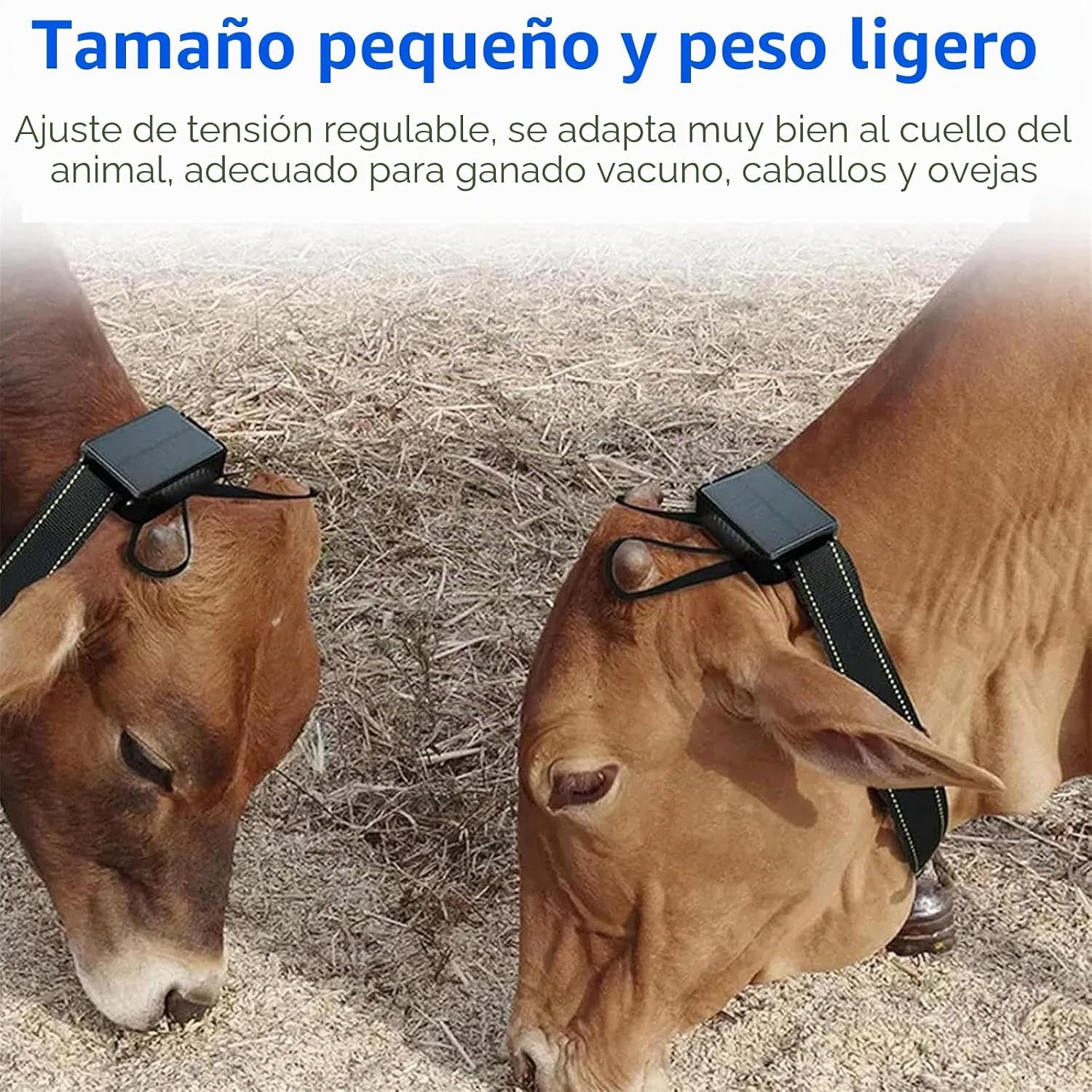 Localizzatore GPS solare per bovini, capre e cavalli, posizionamento in tempo reale e impermeabile