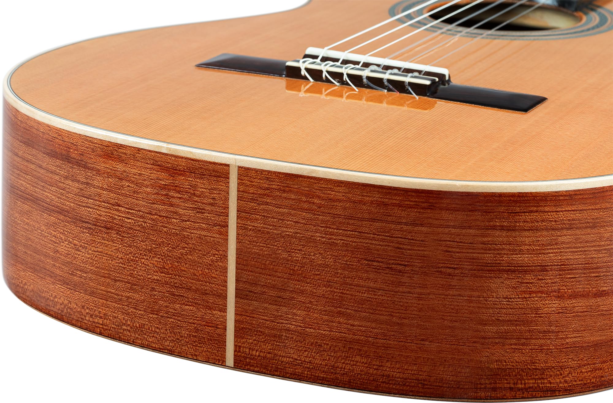 Ortega Traditional Series - Chitarra con corde in nylon, realizzata a mano in Spagna, con custodia professionale (R18G)