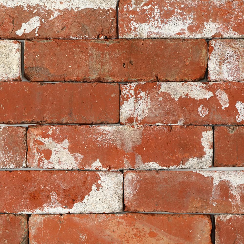 Amazon | スライスレンガ 古レンガ 赤 レンガタイル (スライスレンガ