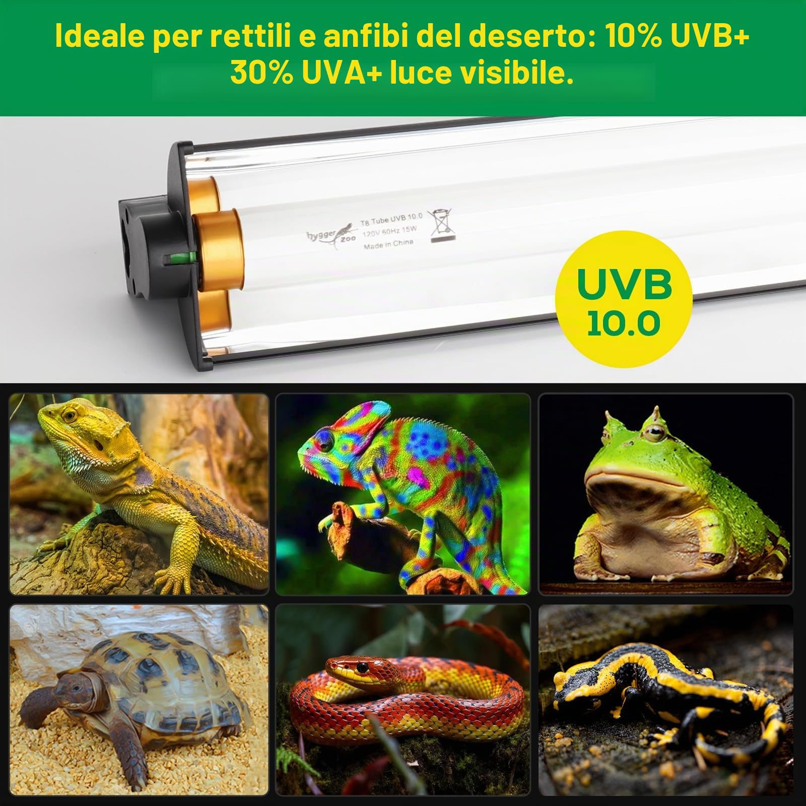 T5 UVB Rettile Lampada HO UVB Illuminazione Combo Kit di Illuminazione 10.0 UVB Luce per Rettili Terrari Cappuccio con 8W Rettile Barra di Luce UVA UVB Deserto Lampada per Barbuto Drago Tartaruga Tank