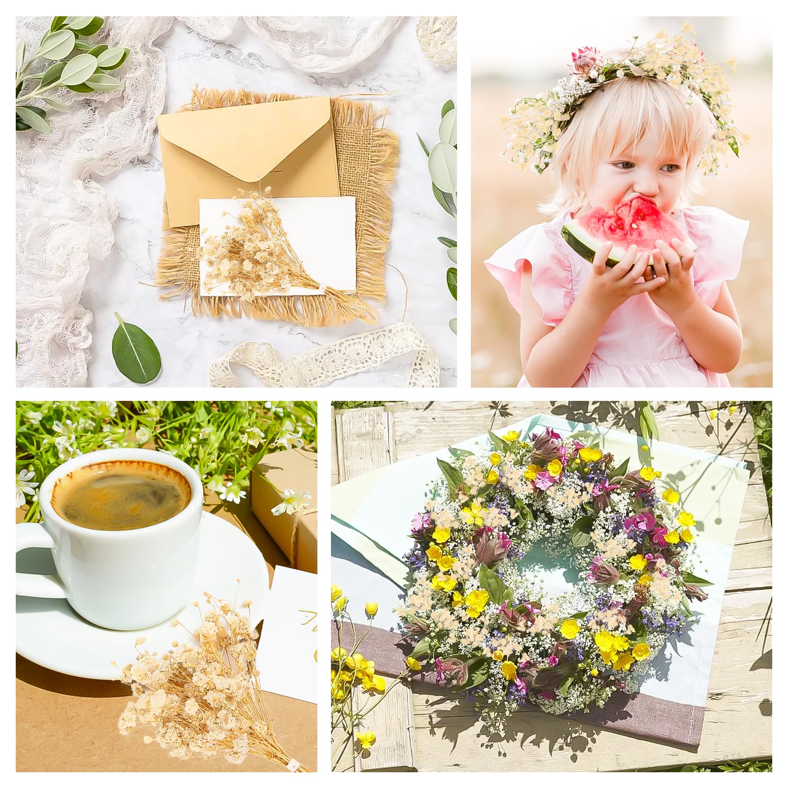 100 Stück Schleierkraut Getrocknet Weiß Trockenblumen Schleierkraut zum Basteln Natürliche Gypsophila Getrocknete Blumen für DIY Hochzeit, Heimdeko, Kunsthandwerk und Party Küche, Haushalt & Wohnen
