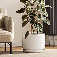LETAUCI 12 Inch Ceramic Plant Pots with Drainage Holes & Saucers - Elegant White Large Planters for Indoor Outdoor Home Office Decor