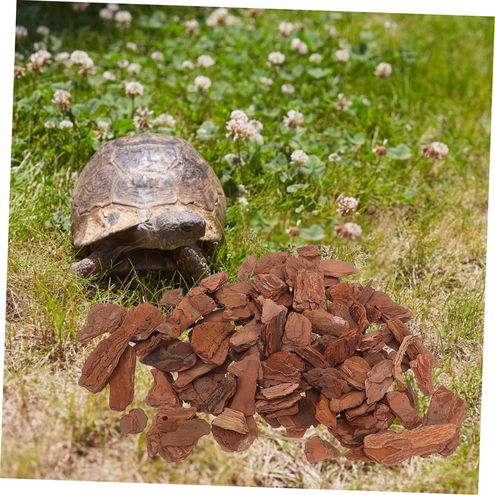 TOYANDONA Copeaux D'écorce de Pin et Facile à Installer pour Terrarium, Décor Naturel pour Petits Reptiles et Animaux, pour Décoration D'aquarium et Terrarium