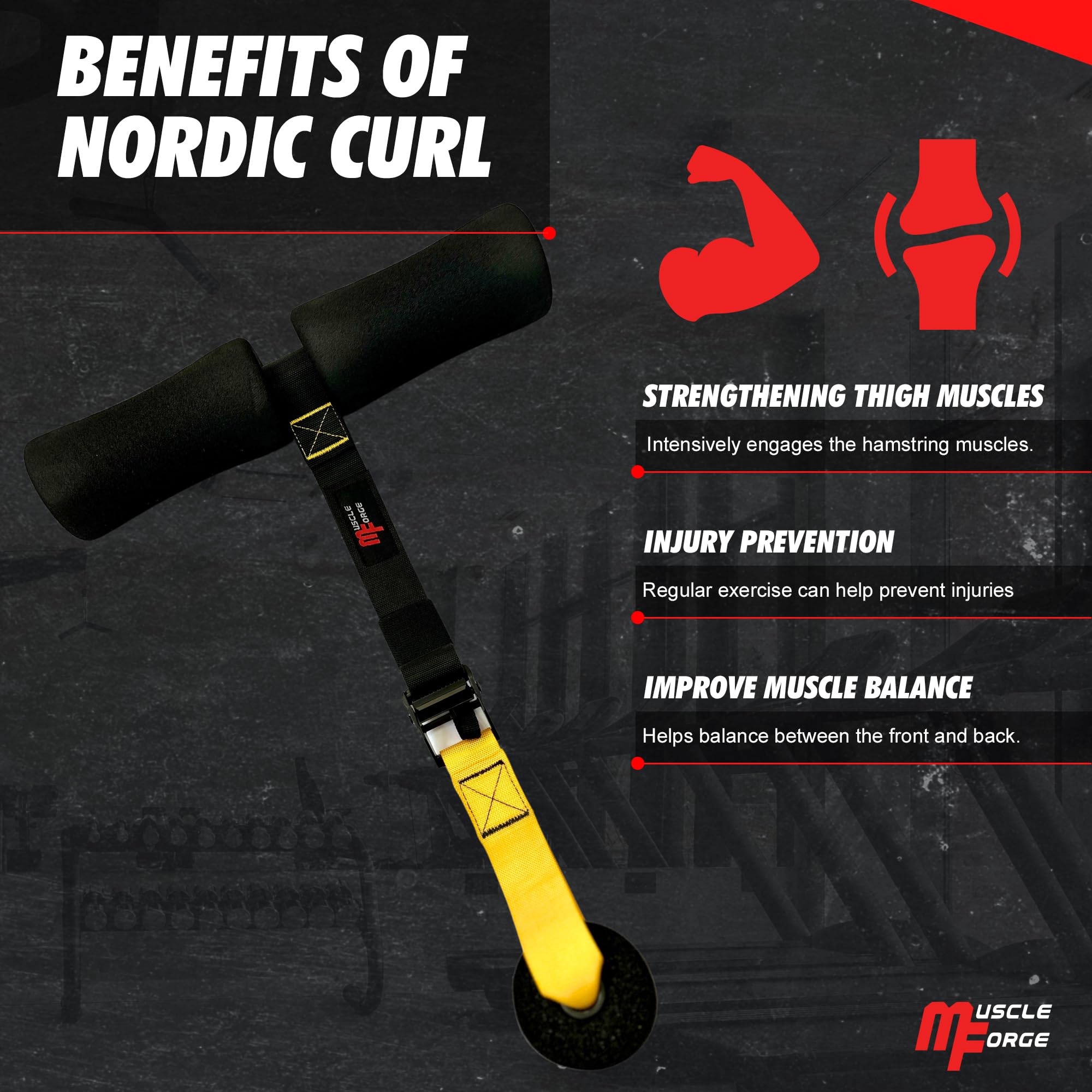 Nordic Curl Strap – Cinghia Regolabile Con Gancio Porta Per Esercizi a Terra – Allenamento Femorali, Addominali – Ancoraggio Stabile, Regolazione Rapida – Fino a 180 Kg, Schiuma Protettiva