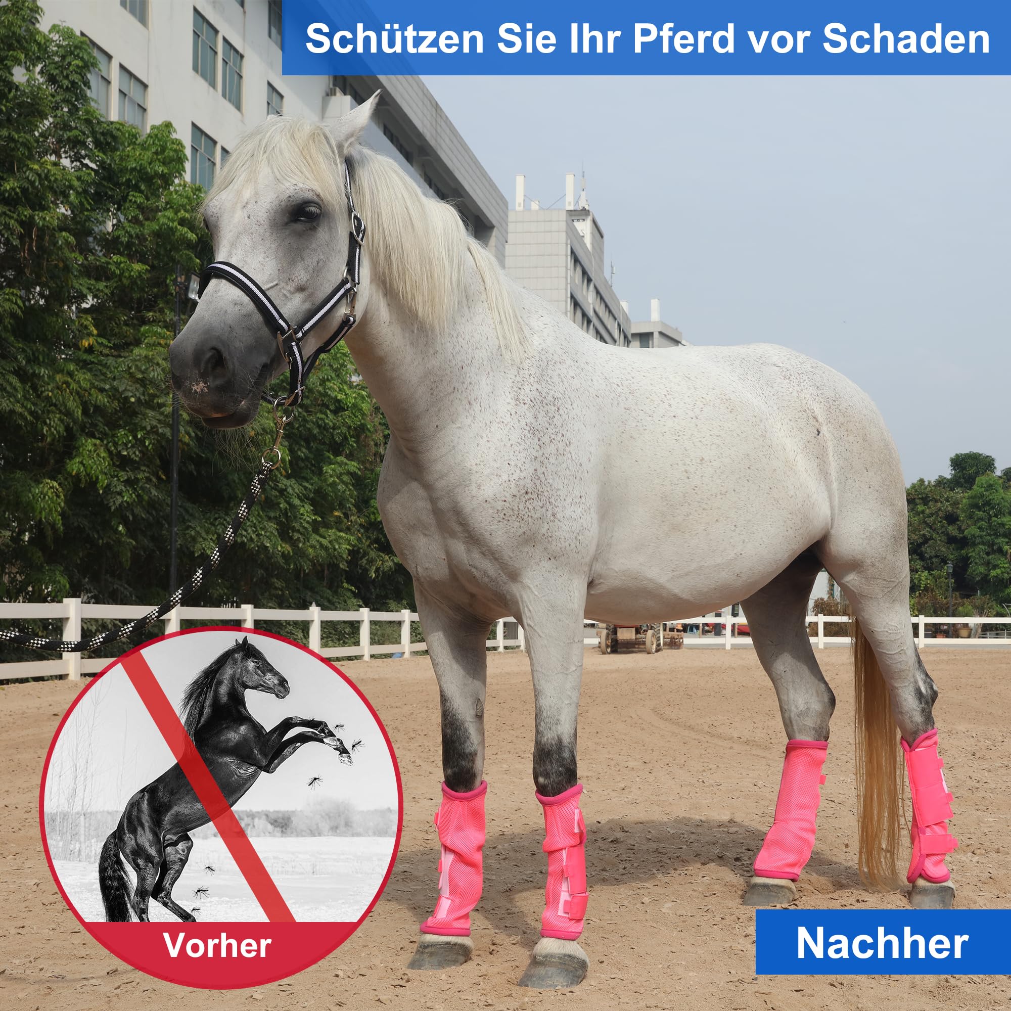 4 Stück Gamaschen Pferd, Atmungsaktive Feinmaschige Fliegengamaschen für Pferde, Mit Schutz- und Stützfunktionen