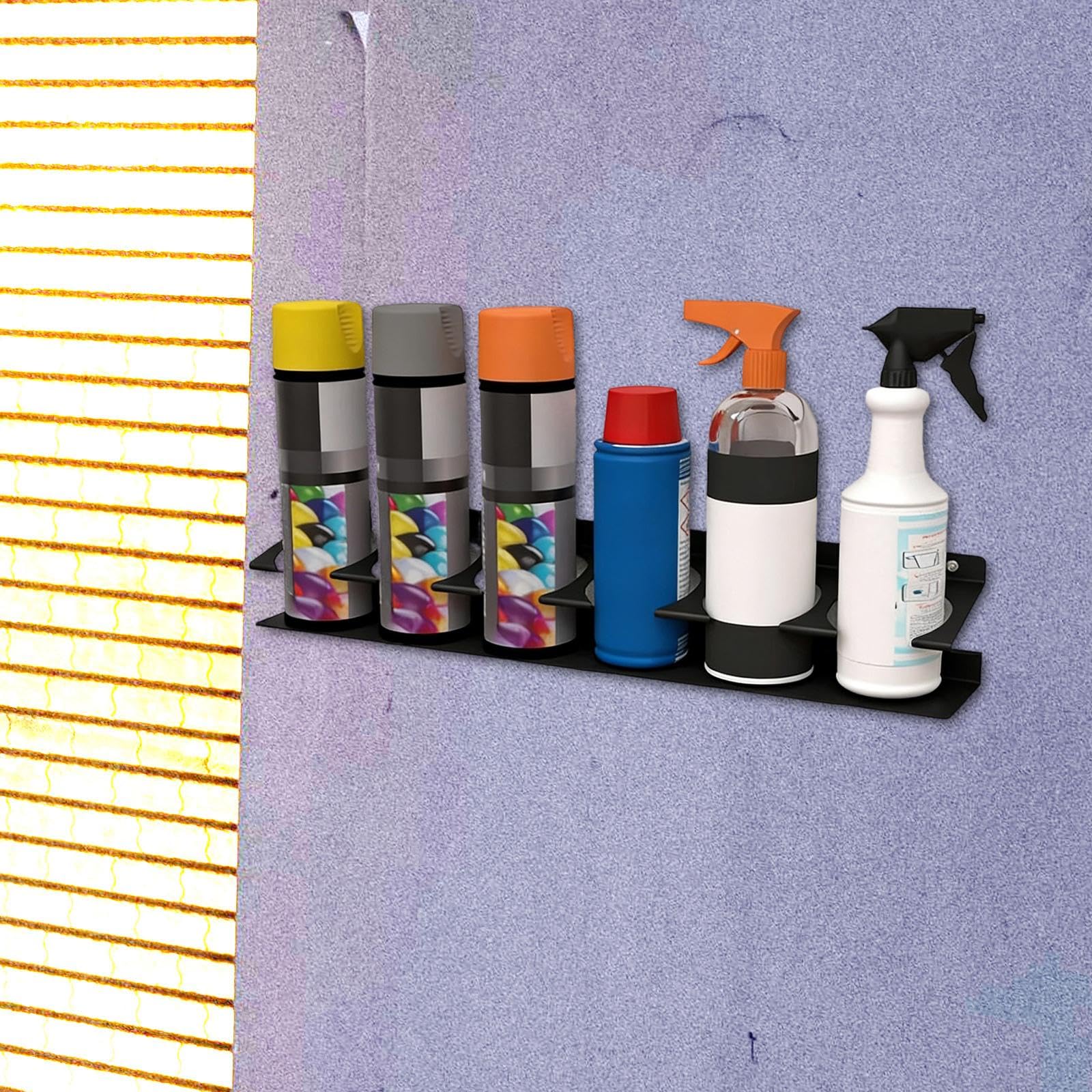 Organizzatore per Lattine, Scaffale Portaoggetti da Parete a 6 Fori per Officina, Garage E