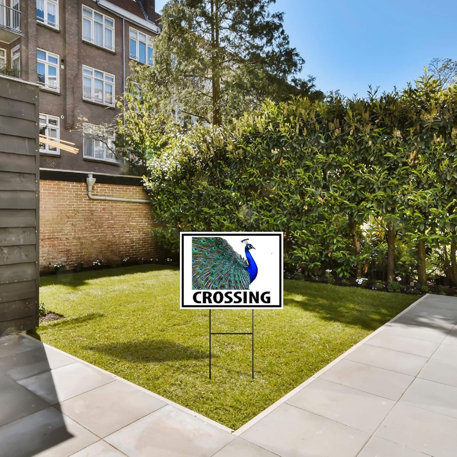 PEACOCK CROSSING XING - Double Sided 18inx24in Yard Road Sign w/Stand