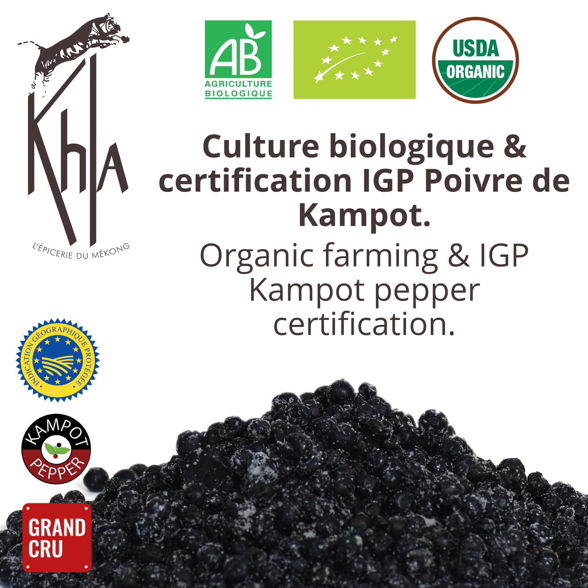 Khla - Poivre Vert Frais de Kampot Certifié Bio 500 g - Sachet Poivre en Grains Biologique - Grand Cru, Aromatique & Végétal - Direct Producteur - Apéritif, Sauces - Origine Cambodge