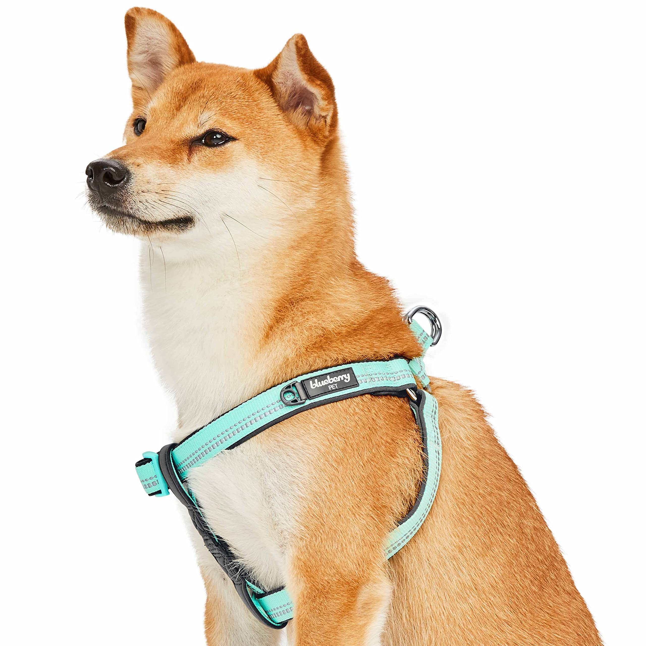 Harnais pour chien Blueberry Pet bleu menthe réglable grand chien