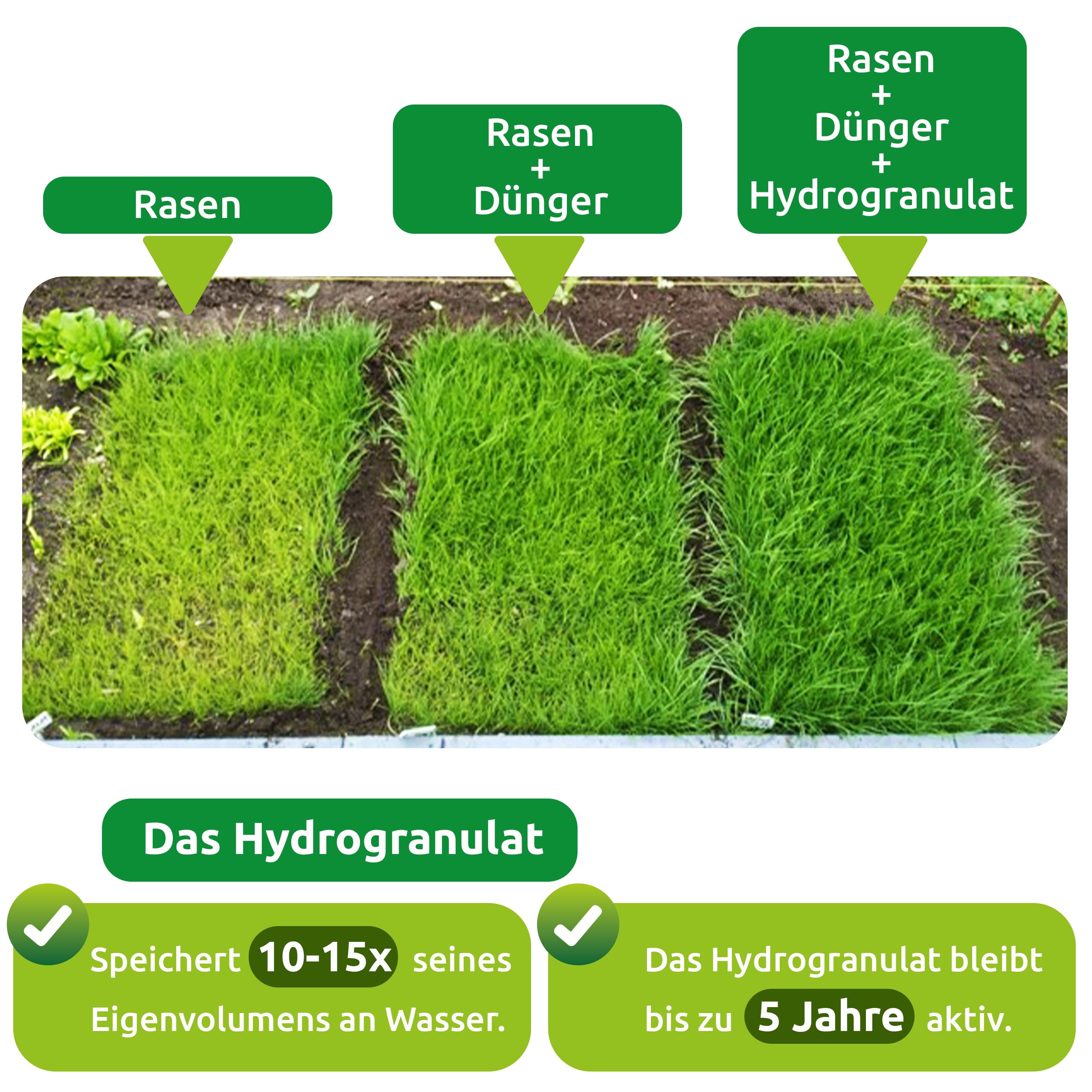 Rasensamen Matte inkl. Rasendünger und Hydrogranulat, schnellkeimend, Grassamen, Rasen, Rollrasen, Rasensaat, ideal für Nachsaat und Neuansaat, biologisch abbaubar, 10m²