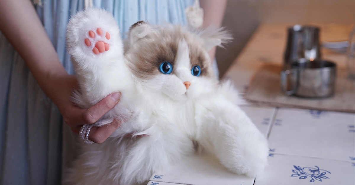 ネコぱら バッグセット サンシャインクリエイション65 Amazon.com | CHOBYNER Stuffed Realistic Cat Plush Backpack Gift