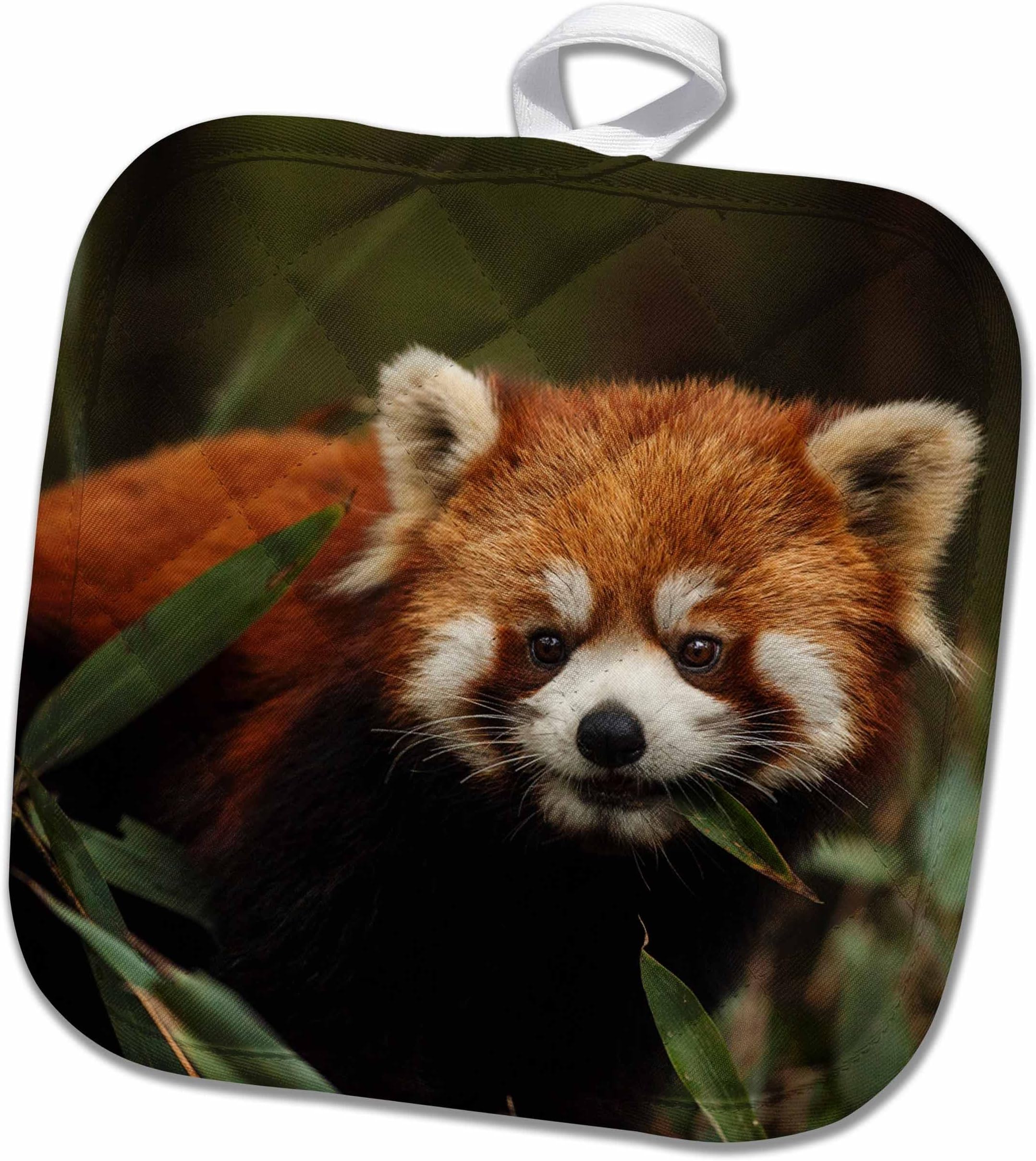 GlobalNiche® Chengdu Wolong National Natural Reserve Red Or LesserPot Holder, 8 x 8