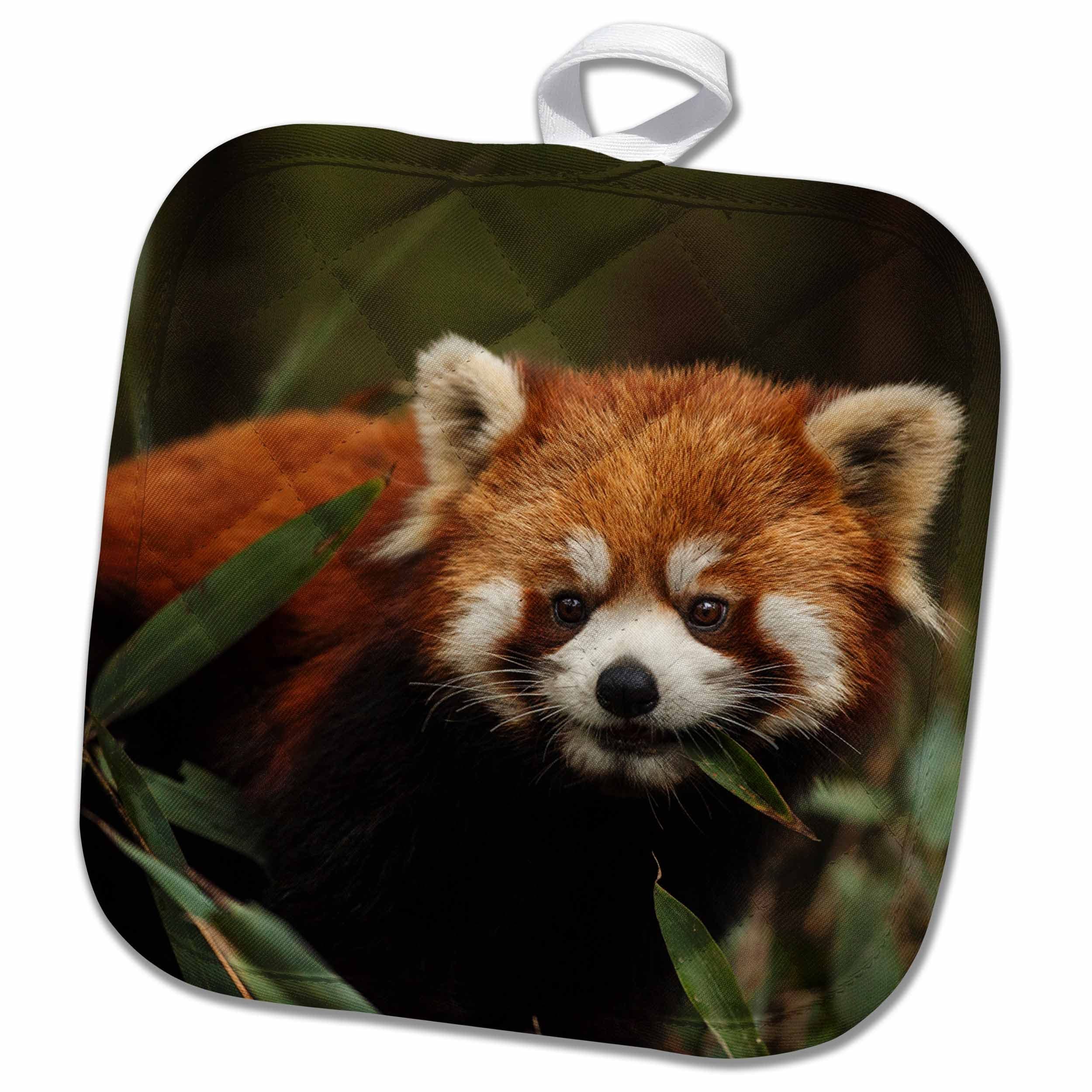 GlobalNiche® Chengdu Wolong National Natural Reserve Red Or LesserPot Holder, 8 x 8