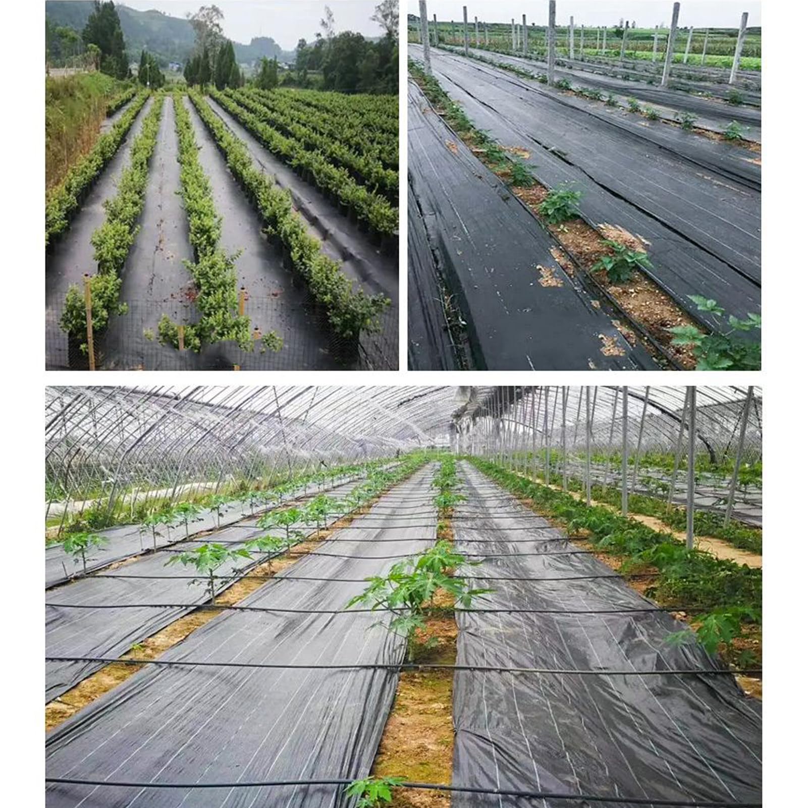 4m x 5m Telo Pacciamatura Non Tessuto 90 g/m² Anti Erbacce per Giardino & Orto Permeabile all'Acqua Protezione Contro Resistente agli Strappi Alta Stabilizzazione UV (4m x 5m = 20m²)