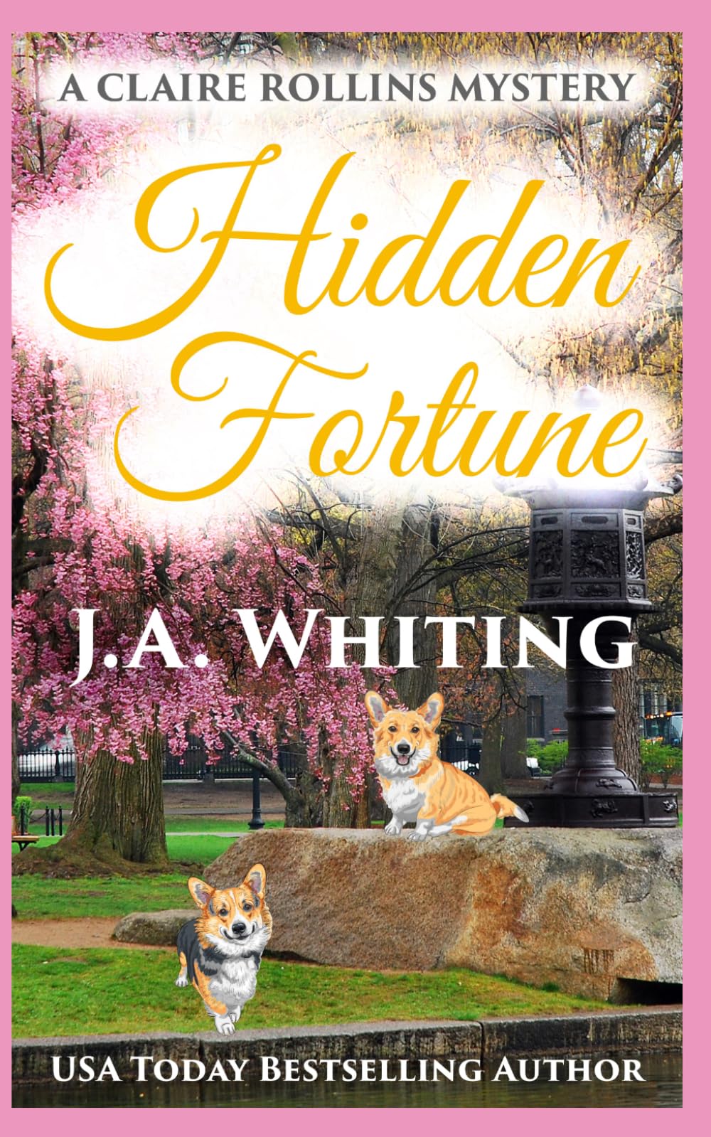 Hidden Fortune (A Claire Rollins Mystery)