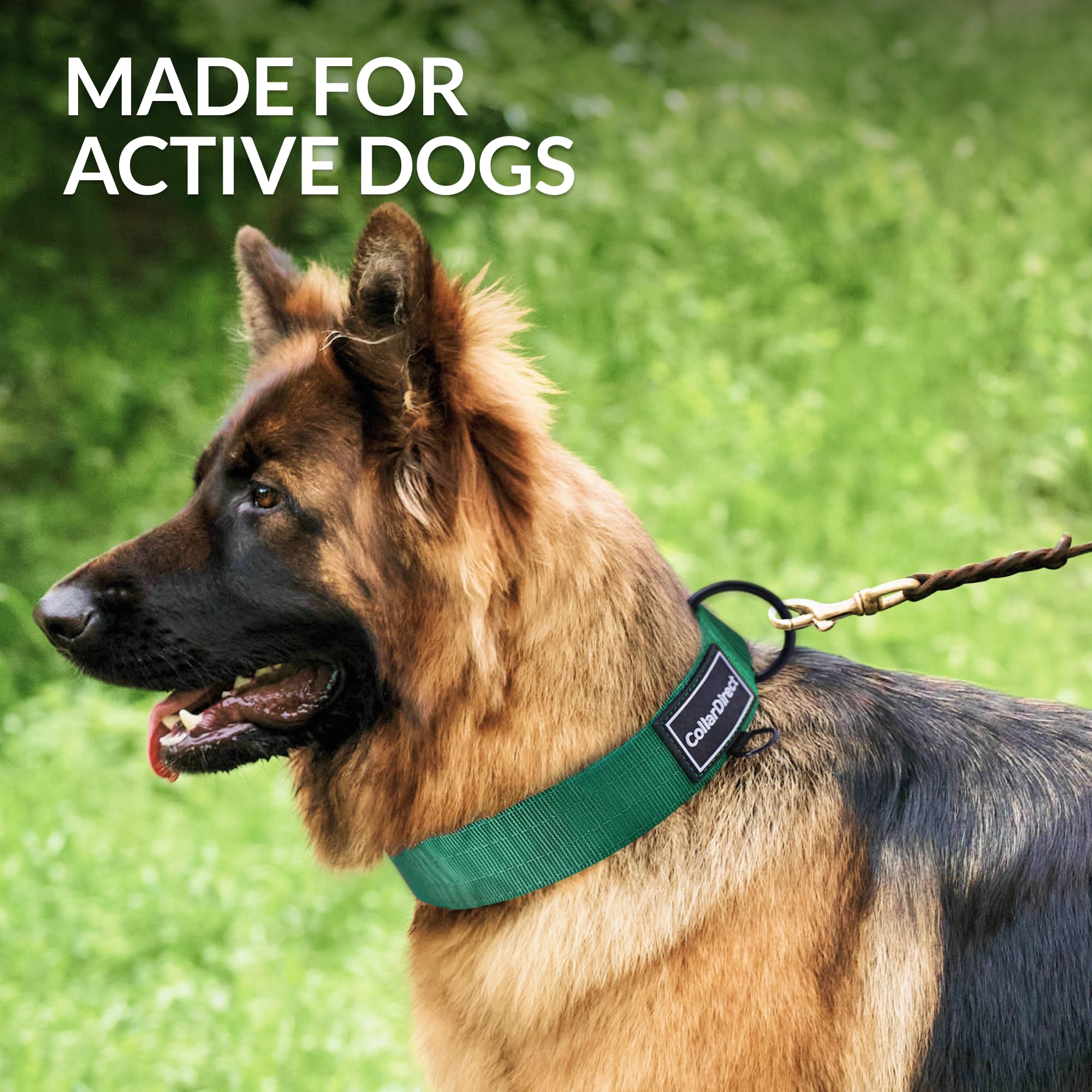 Heavy Duty Dog Collar for Large or Medium Dogs Adjustable Strong Dog Collar for Active Dogs Double-Layered Nylon (Green - Image 2