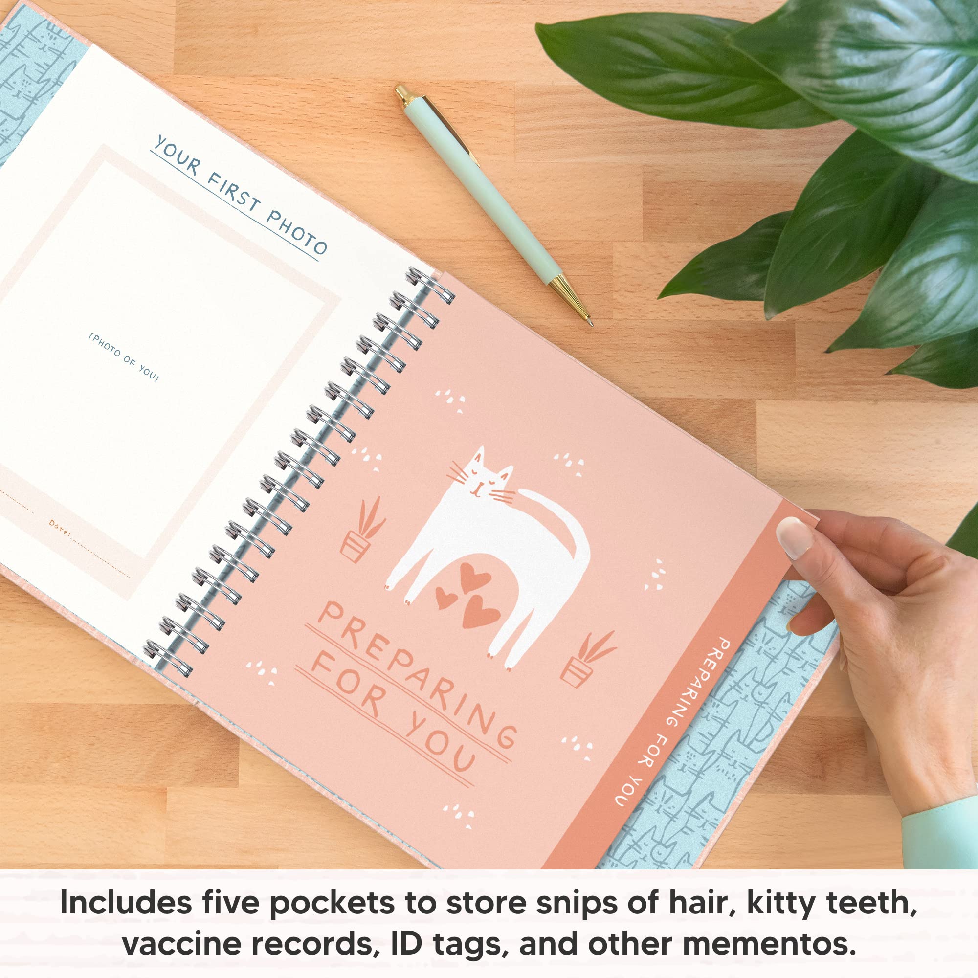 Amazon.com : Studio Oh! It's a Cat! Guided Pet Journal – 104 Pages