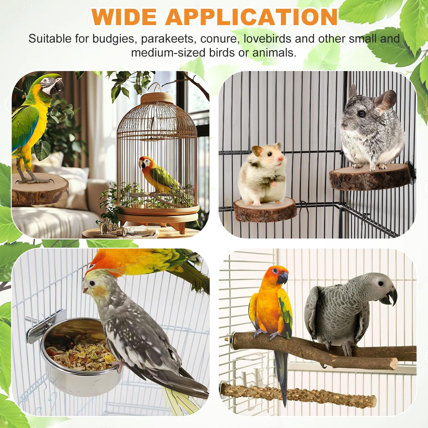 Lot de 4 perchoirs naturels pour oiseaux, perchoirs pour perruches, avec 2 mangeoires, accessoires de cage à oiseaux, pour perroquets, calopsittes, canaris