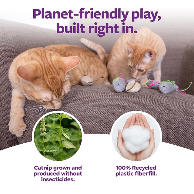 Foto 5 de 8 de SmartyKat Skitter Critters - Paquete económico de Juguetes para Gatos con Hierba gatera