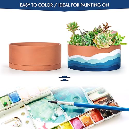 Miniatura 6 de D'vine Dev Maceta de terracota poco profunda de 8 pulgadas con orificio de drenaje y platillo, maceta cilíndrica redonda para plantas y flores,