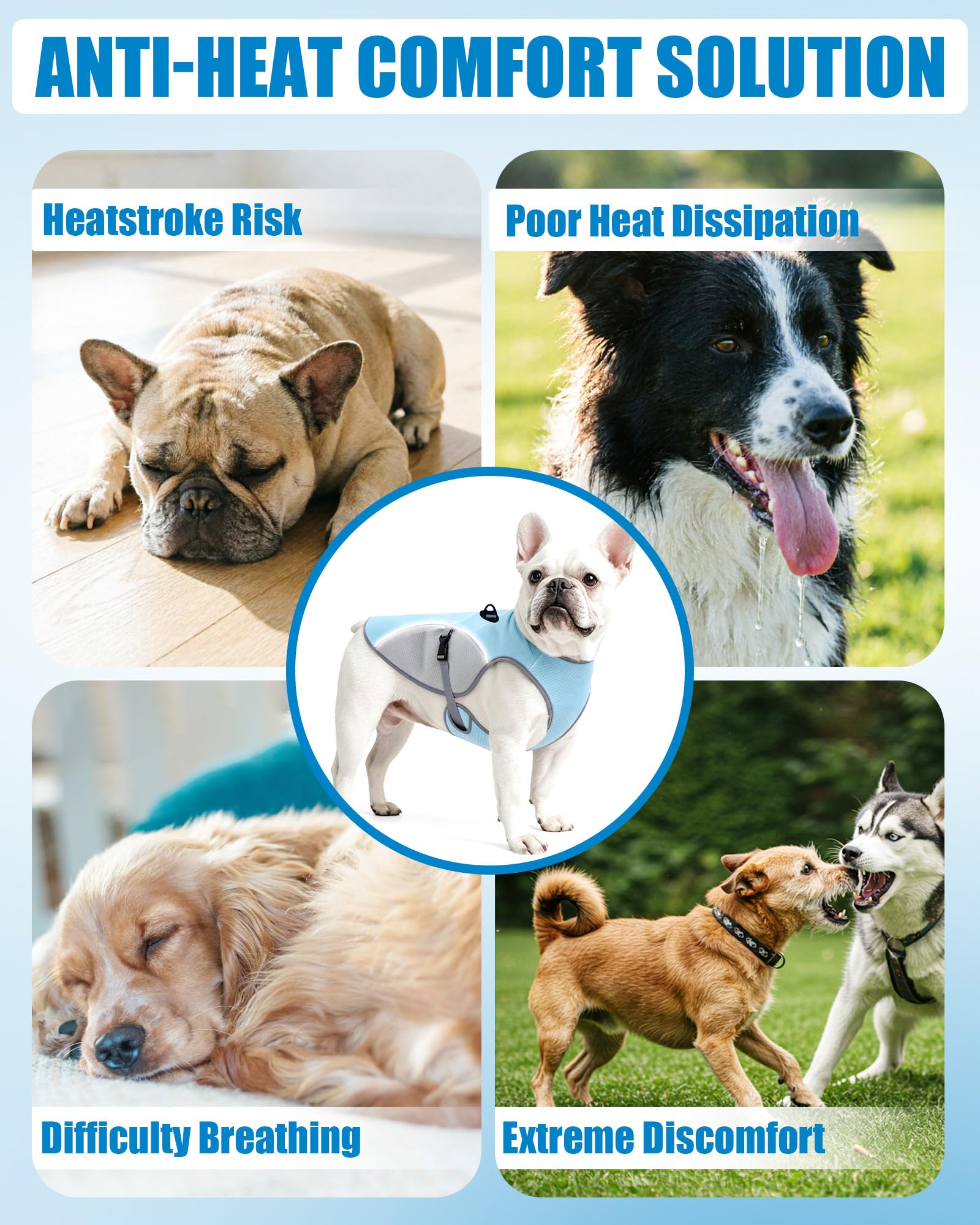 Gilet de Refroidissement pour Chien avec Laisse de 2 m, Gilet rafraîchissant léger et Respirant UPF 50+, vêtement Anti-Chaleur pour Petits et Grands Chiens, idéal pour promenades et randonnées en été