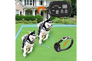Electric Dog Fence: Secure Your Fury Friend's Adventures Safely