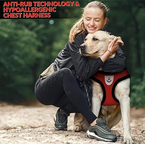 Miniatura 2 de Equine Paw - Arneses para perros con correa rosa (rojo, grande)