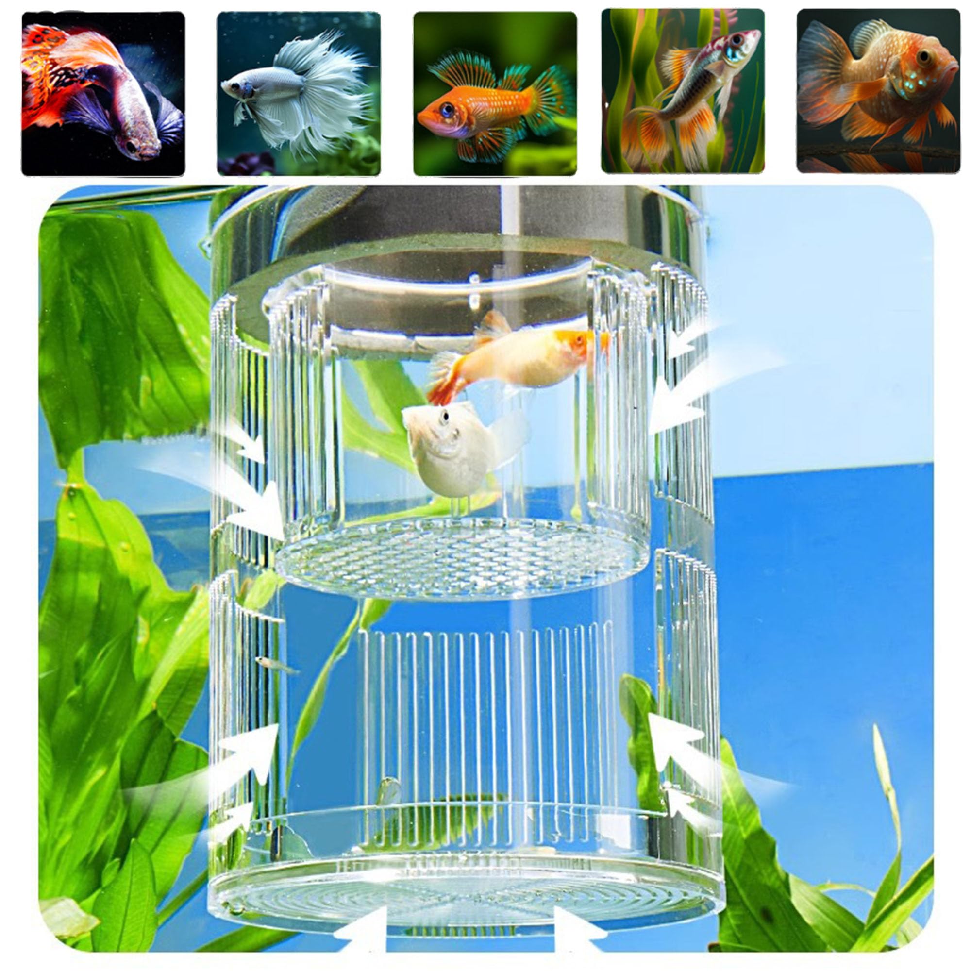 Forme Cylindrique Boîte D'éLevage pour Aquarium, Boîte D'éLevage pour Poissons D'Aquarium, Double Couche, Transparent, Incubateurs avec Ventouses, pour Poissons Agressifs Blessés