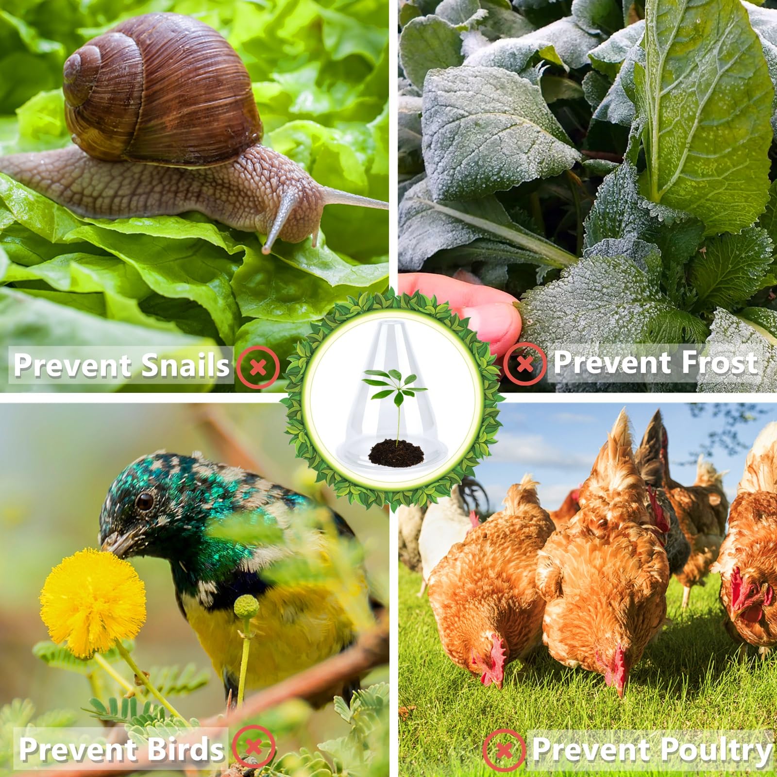 Chapeaux de Plantes Transparent 20 cm 24 Pièces Protection Oiseaux Gel Intempéries