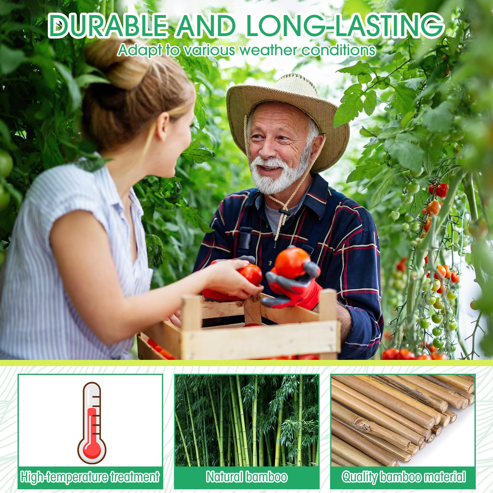 Suclain Estacas de bambú para plantas, estacas de soporte para plantas de interior y exterior, estacas de jardín para tomate, frijoles, flores, árboles en maceta y soporte para plantas trepadoras (200