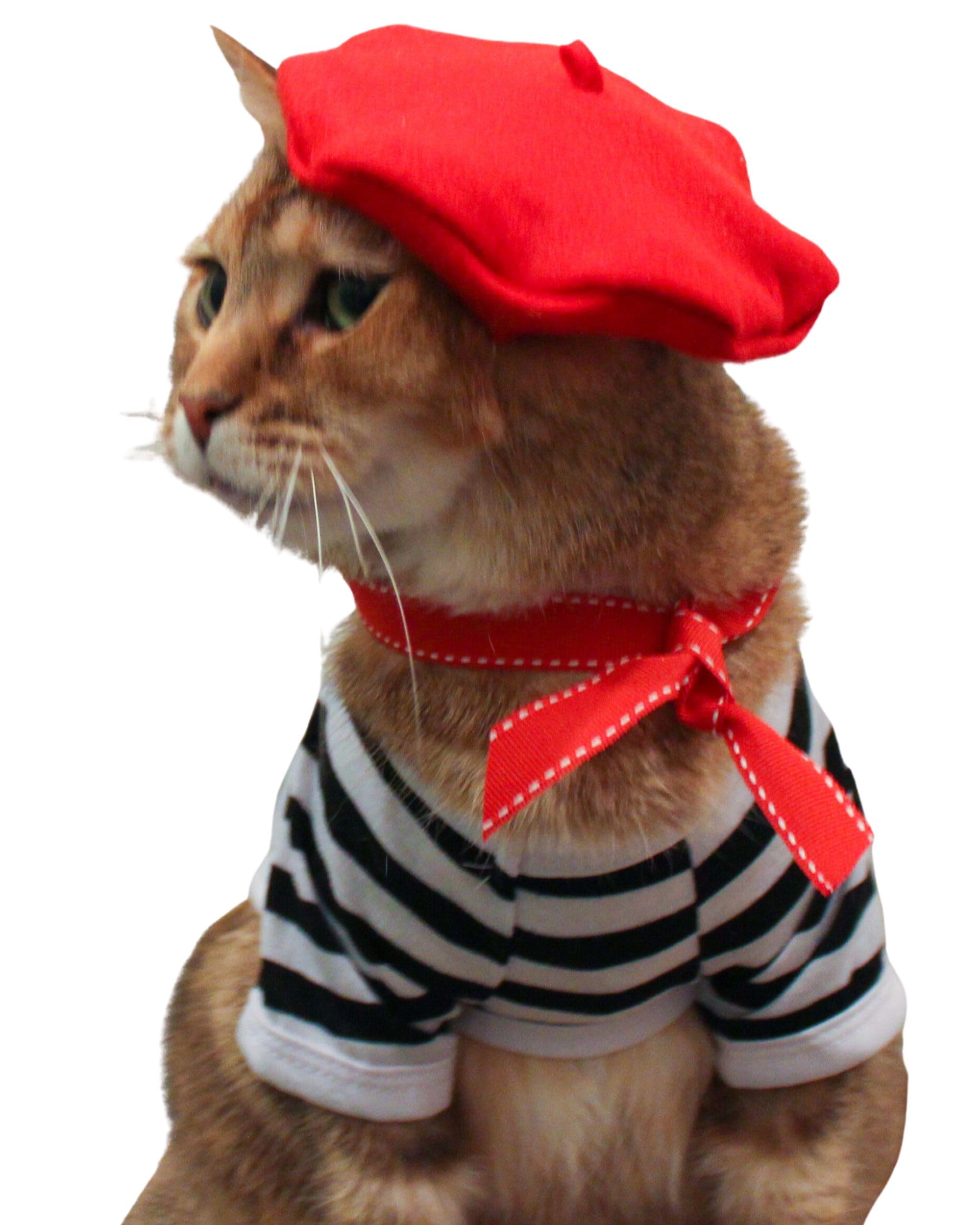 Kattinatt Red Cat Cute Kitten Beret Cotton Wool ? Soft il_fullxfull.3352409725_3h11.jpg main image 3